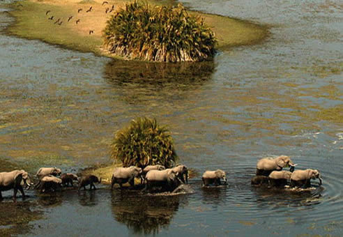 Botswana et Zimbabwe : de l'Okavango aux Chutes Victoria